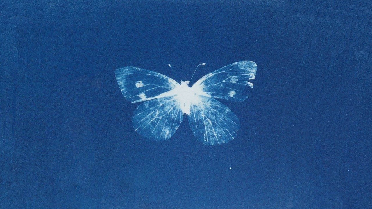 The Butterfly Effect